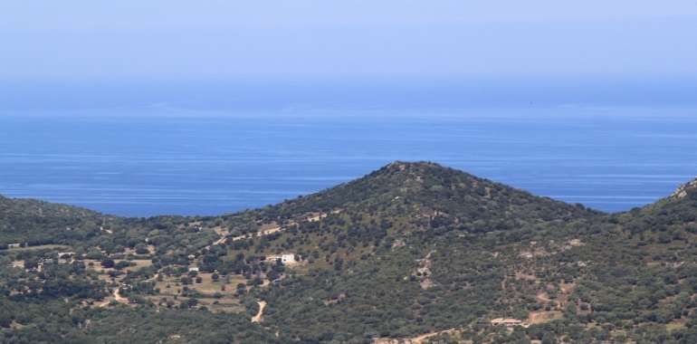 Photo 2 du bien Magnifique Bâtisse Balagne